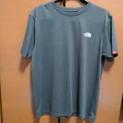 ザノースフェイス半袖バックプリントL