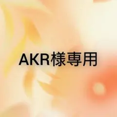 AKR様専用ページ