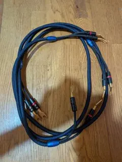 AudioQuest Q2 スピーカーケーブル 10ft / 3m - メルカリ