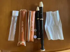 Item thumbnail for item 442b3e25-a678-44e3-82a5-ca590d9f788d