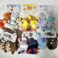 ポケモン にたものどうし 磁石でくっつくペアマスコット 6種コンプ