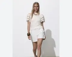 ZARA ザラ　Tシャツ　カットソー　半袖　レースのサムネイル