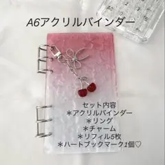 アクリルバインダー♡水流模様A6韓国バインダー貯金savingチェリーRed
