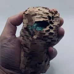 ミニアガベキツネノコ03