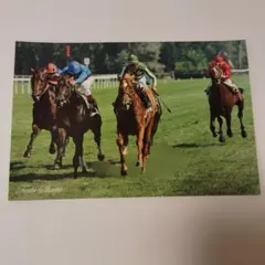 タイキシャトル 競馬 ポストカード