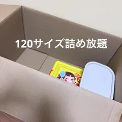 100サイズ詰め放題のサムネイル