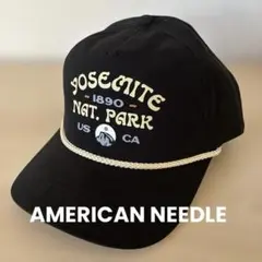 希少 AMERICAN NEEDLE キャップ y2k - メルカリ
