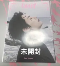 【新品未開封】StrayKids スキズ Do it アコーディオン　リノ