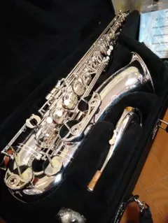 2026年最新】ヤマハ YTS-23の人気アイテム - メルカリ