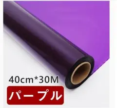 Item thumbnail for item 22ffdaf7-92a8-4b50-9f13-03bbd441ab44