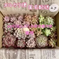 a@引越しのため断捨離中様 リクエスト 2点 まとめ商品