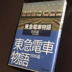 Item thumbnail for item e13b561b-9a25-44d8-8c7b-8537c8fdb09c