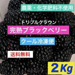 完熟ブラックベリー　2Kg 送料込み　クール冷凍便　農薬不使用　生食・加工用のサムネイル