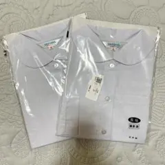 Item thumbnail for item b4ec6d3a-6b45-4937-9f36-3eaee4eb2be6