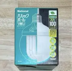新品⭐︎ナショナル パルックボール YOU 100ワット形