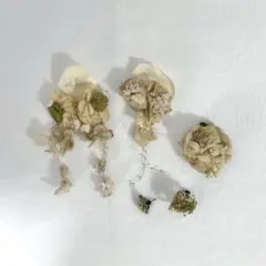 Item thumbnail for item cd30b18a-5d89-48b3-9f8a-c542a55fb8d9