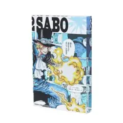 Item thumbnail for item eeeb56dd-40e8-4358-8563-c68173a372ed