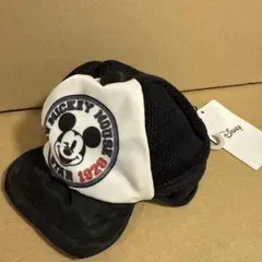 Item thumbnail for item 5aba3d7f-bec7-4a00-9cf8-5cd8547cf394