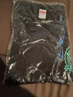 XXLサイズ HEY-SMITH TOUR Tシャツ