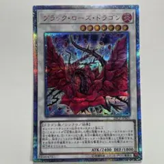 遊戯王 ブラック・ローズ・ドラゴン　20thシークレットレア