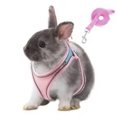 Item thumbnail for item 297705f9-75cb-4dce-8b4f-731291c12487