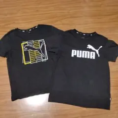 ●値下げ●PUMA ブラック Tシャツ 2枚セット