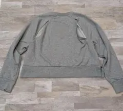 ★立春セール★NIKE DRI-FIT クロップド スウェット XL グレー