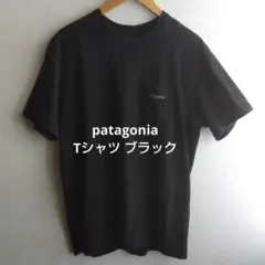 patagonia パタゴニア ブラック Tシャツ Lサイズ メンズ