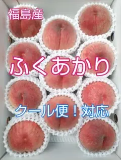 中 桃 ふくあかり ワケあり 規格外 5kg - メルカリ