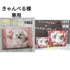 きゃんべる様専用