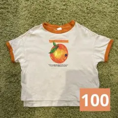 p.premier フルーツだいすきグラフィックリンガーTシャツ　100cm