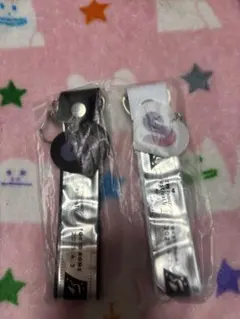 すとふぇす 2025 銀テホルダー