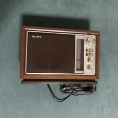 Item thumbnail for item 74a70186-2811-4308-bc1e-20f76849e269