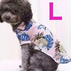 タロタケTT様 リクエスト 2点 まとめ商品