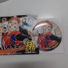 コレクション缶バッジ 排 10周年Ver. 日向翔陽