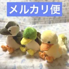 ぺたぺたアヒル隊　ぬいぐるみ　セット　ネギ　かーるさん　たまごちゃん
