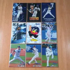 プロ野球チップス2025東京ヤクルトスワローズ9枚セット