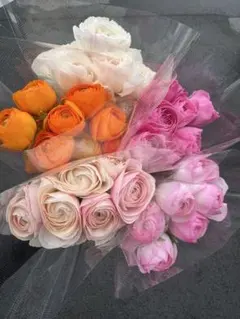 ぽんすけ様 リクエスト 2点 まとめ商品