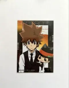 家庭教師ヒットマンREBORN! ブロマイドコレクション 沢田綱吉 005