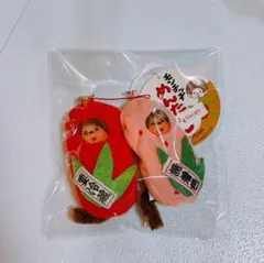 2026年最新】明太子モンチッチの人気アイテム - メルカリ