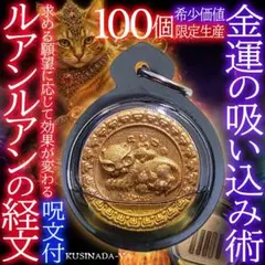 2026年最新】プラクルアン 猫の人気アイテム - メルカリ