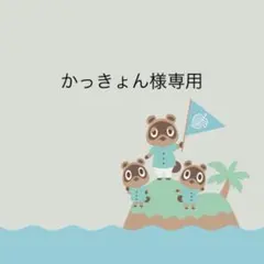 どうぶつの森　アミーボカード　4枚