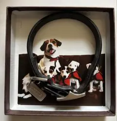 COACH ブラック レザー首輪のサムネイル
