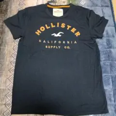 Hollister ホリスター Tシャツ Sサイズ