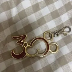 ディズニー 30周年 キーホルダー