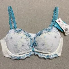 ワコール　リボンブラ　E70 Wacoalワコール リボンブラ E70