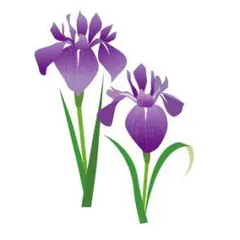 スマホポーチ ベルトケース ベルト通し Apple iPhone Android