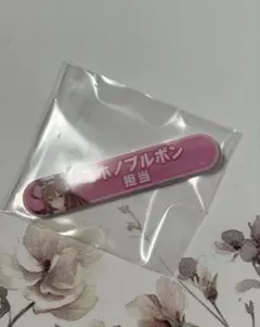 ウマ娘 プリティーダービー 担当称号 キャラバッチ ミホノブルボン
