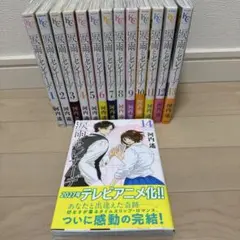 日に流れて橋に行く 全巻セット - メルカリ