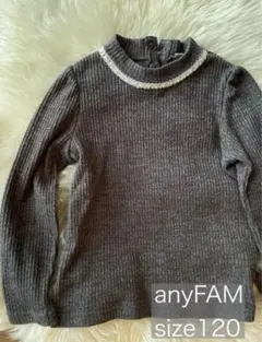 エニィファム　anyFAM ビジュー付きハイネック厚手カットソー